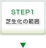 STEP1 芝生化の範囲