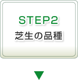 STEP2 芝生の品種