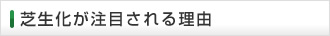 芝生化が注目される理由