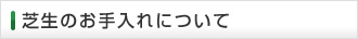 芝生のお手入れについて